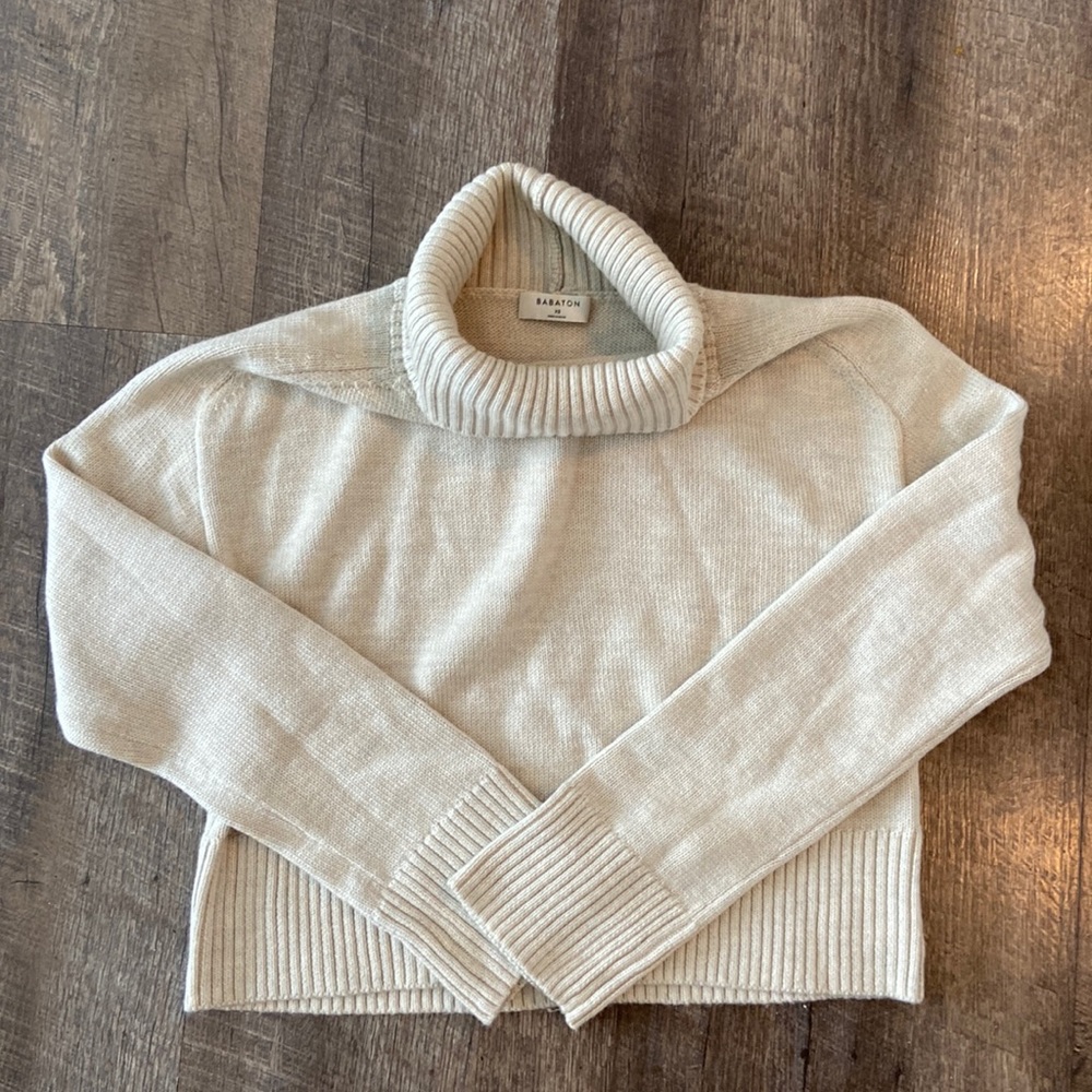 COPY - ARITZIA BABATON COWL NECK SWEATER (XS)